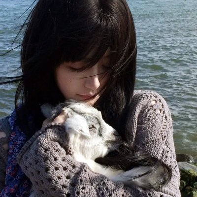 世界名作童话 白鸟王子